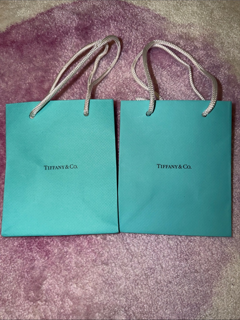 Tiffany & Co. Mini Gift Bags in Signature Blue (Set of 2)